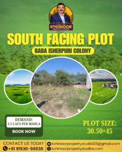 634201942 1537477008383969 6399885998609617637 n | Kohinoor Property Studio