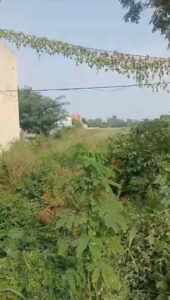 WhatsApp Image 2026 09 16 at 4.00.57 PM 1 | Kohinoor Property Studio