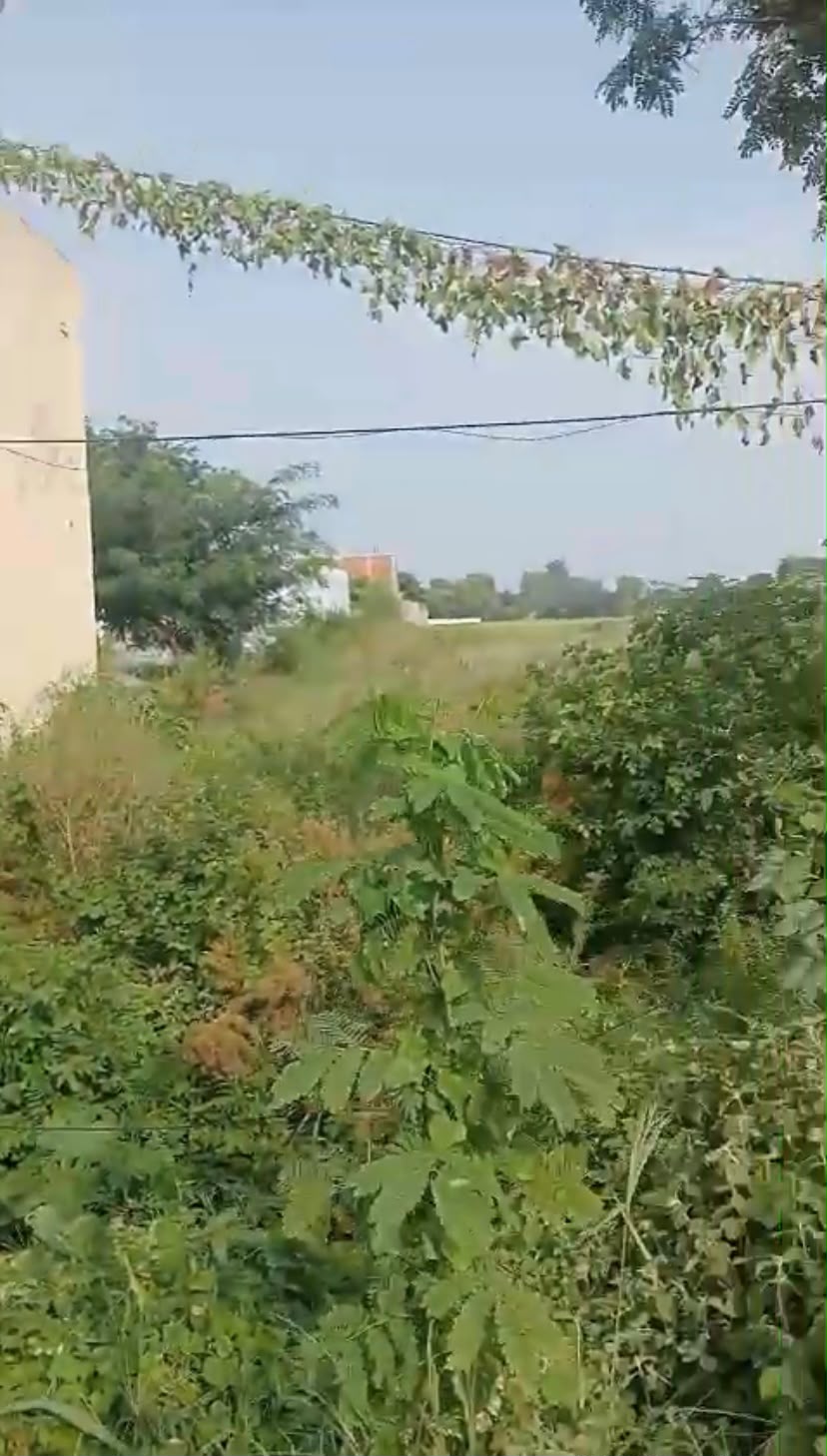 WhatsApp Image 2026 09 16 at 4.00.57 PM 1 | Kohinoor Property Studio